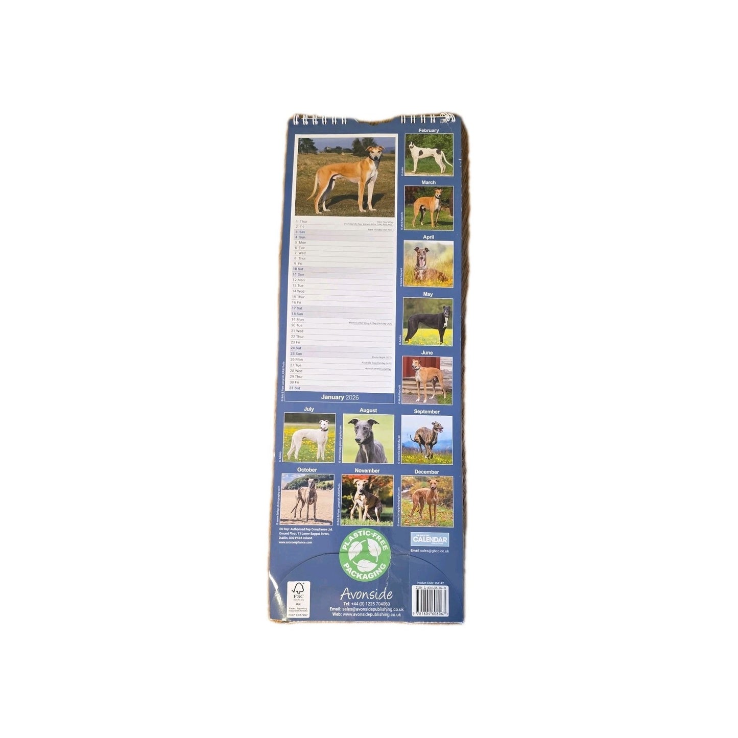 Greyhound 2026 Slimline 12-Month Calendar - Avonside Publishing by below retail uk