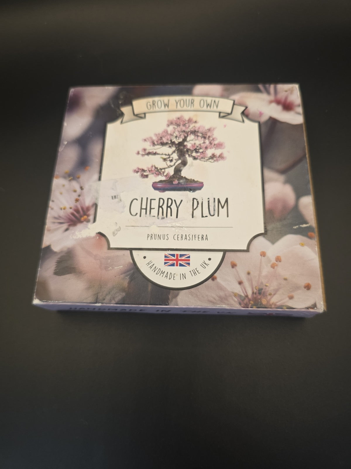 Cherry Plum Bonsai Tree Kit - Beginner Starter Set Pink by The Lovely Stuff Company