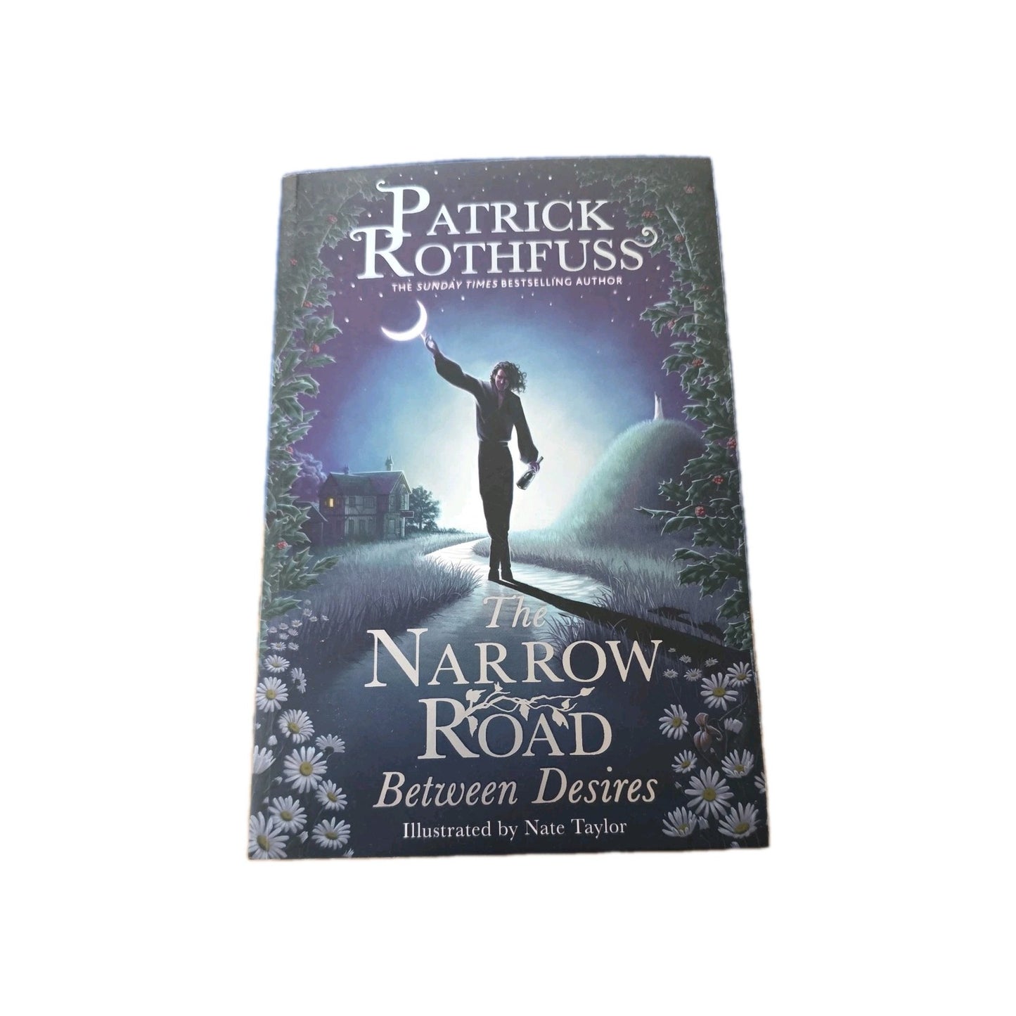 The Narrow Road Between Desires - Patrick Rothfuss Paperback by below retail uk
