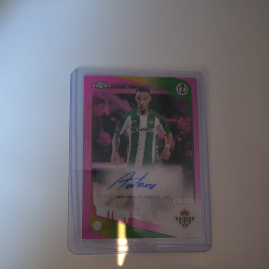 Topps Chrome 25/26 UCC Antony /250 Auto