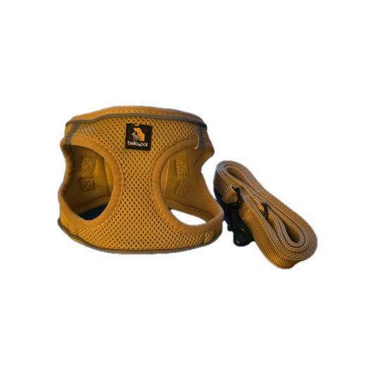 BELLA AND PAL Dog Harness And Leash Set For Small Breeds Step-In Mesh Puppy Harness With Buckle Closure