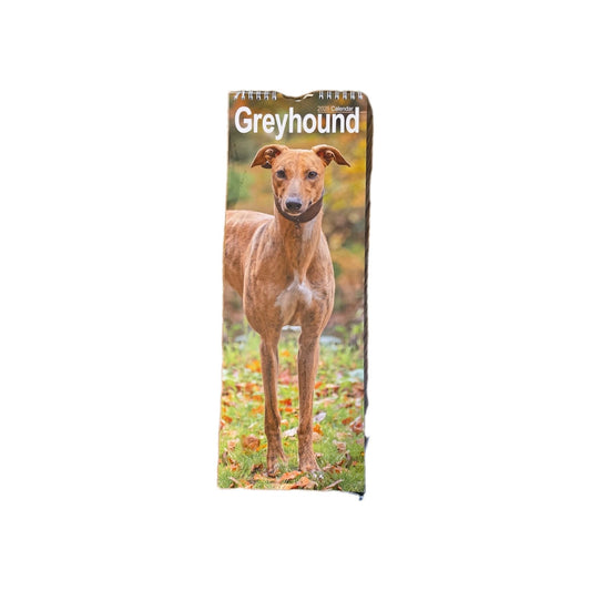 Greyhound Calendar 2026 Slimline 12 Month By Avonside Publishing For Dog Lovers Collectors