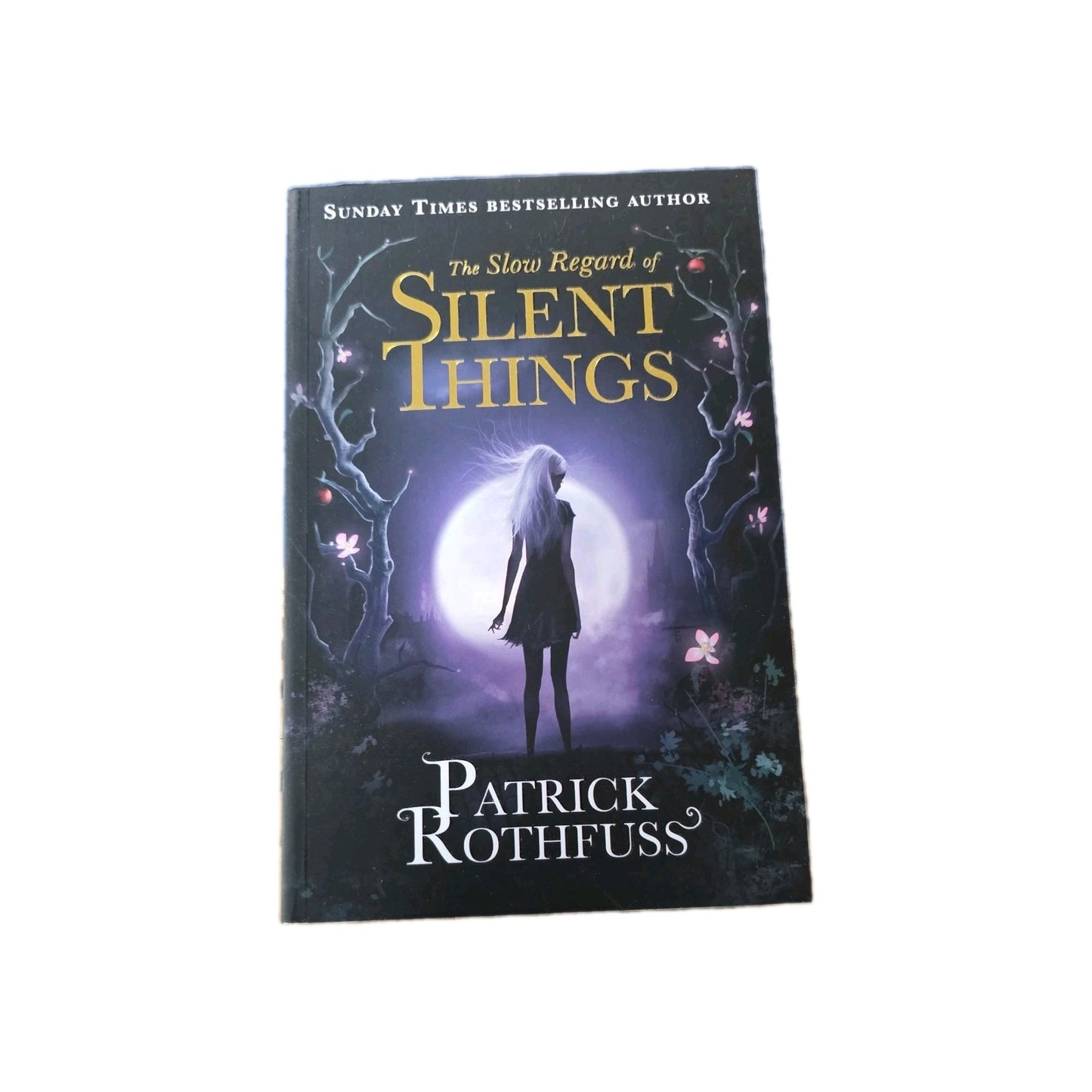 The Slow Regard of Silent Things - Patrick Rothfuss (Paperback) by N/A