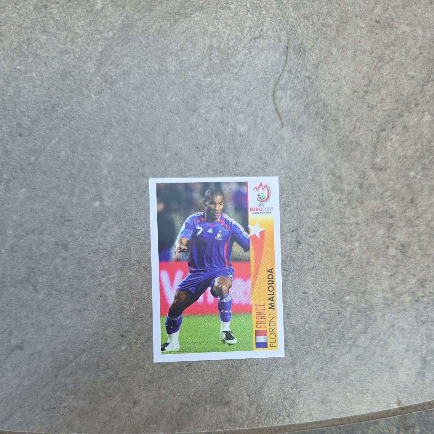 Panini 490 Florent Malouda France UEFA Euro 2008 Austria - Switzerland
